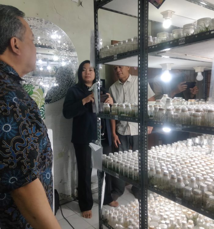 Diskusi Smart Agriculture Fakultas Ilmu Komputer Bersama IPB (Institut Pertanian Bogor)